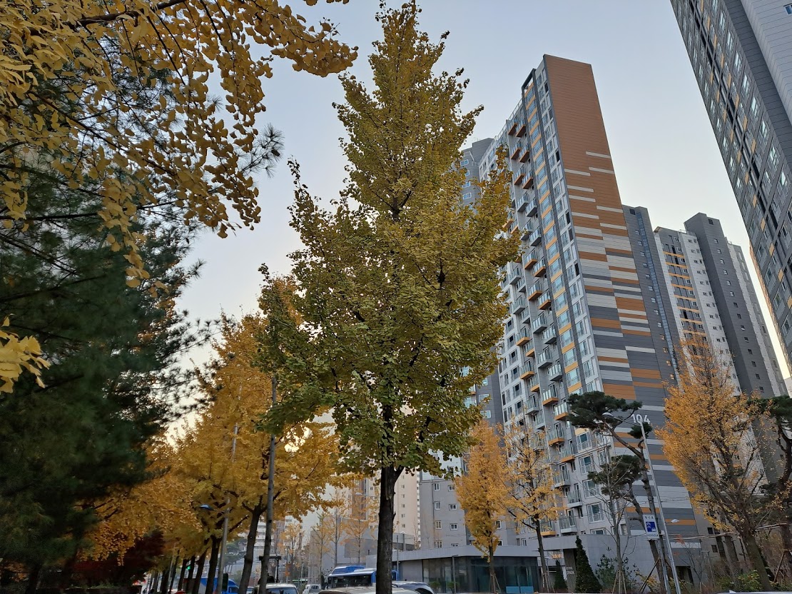 서울 당산동 아파트 외관 자료사진